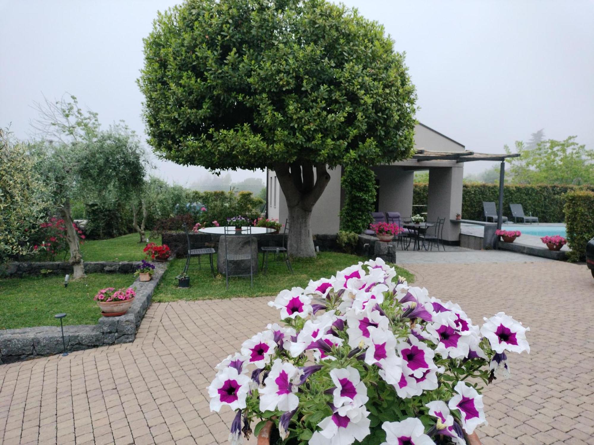 La Casa Dell'Alloro Цафферана-Етнеа Екстер'єр фото